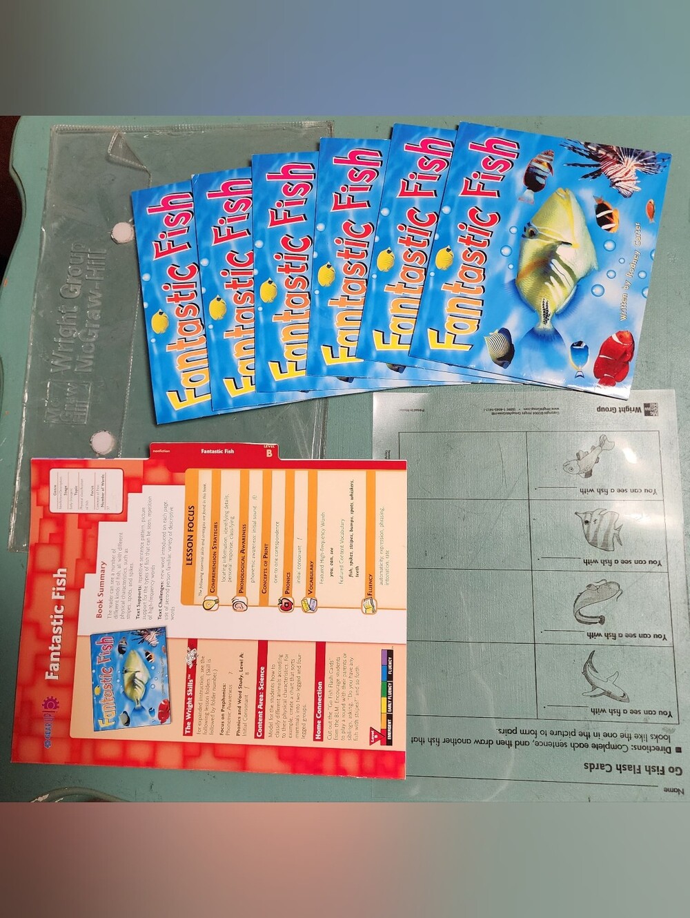 Gear Up! Level B Guided Reading "Fantastic Fish"